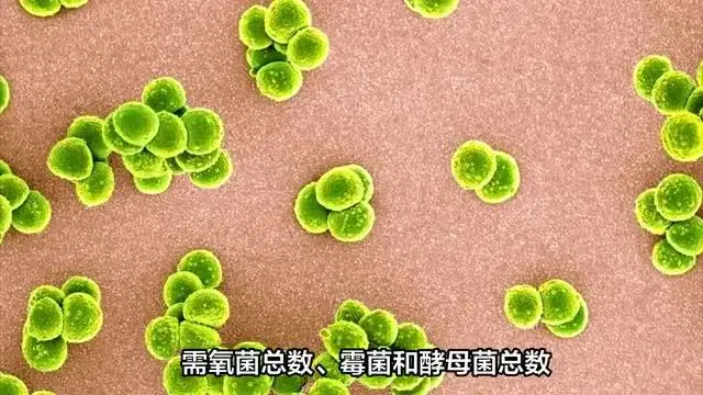 超聲耦合劑殘留物分析測試機構